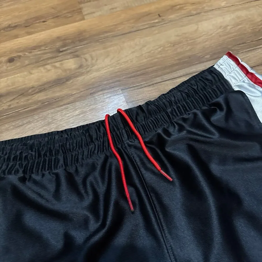 Y2K Air Jordan Silky Dazzle Shiny Shorts
